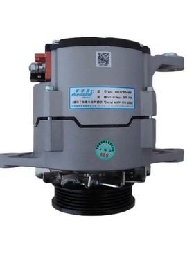 西安康明斯M11 QSM11 ISM11发电机4974301 AVE2739D1发电机24V70A