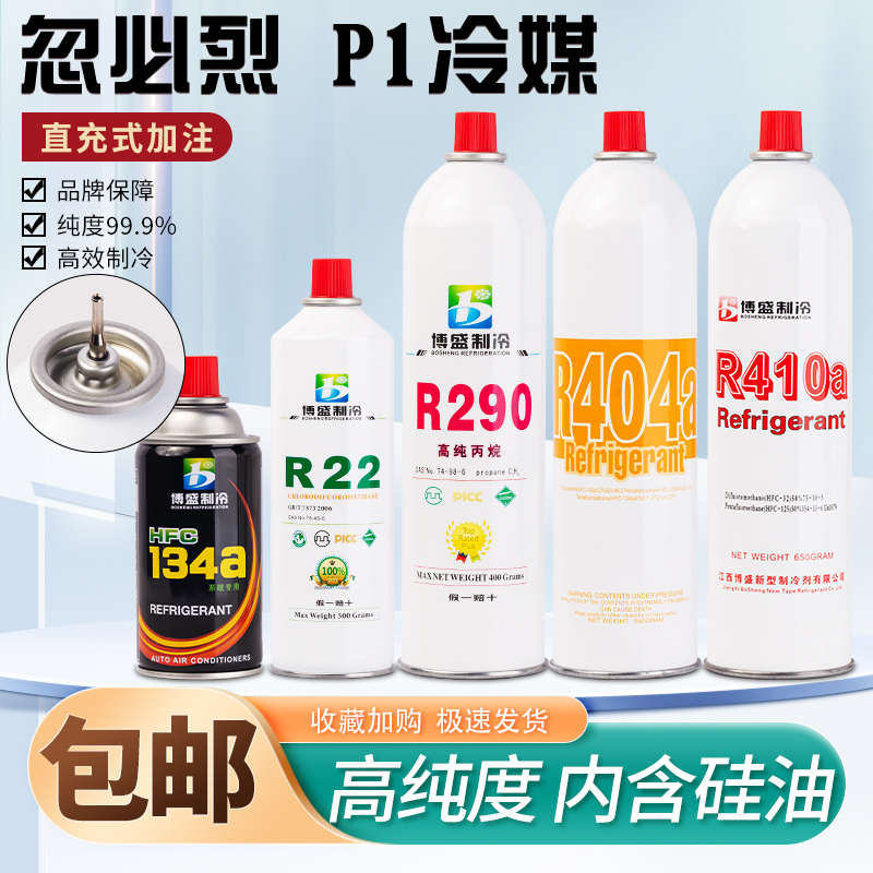 博盛忽必烈冷媒r290玩具p1冷媒高纯134a冷媒r22制冷剂410a冷媒-封面