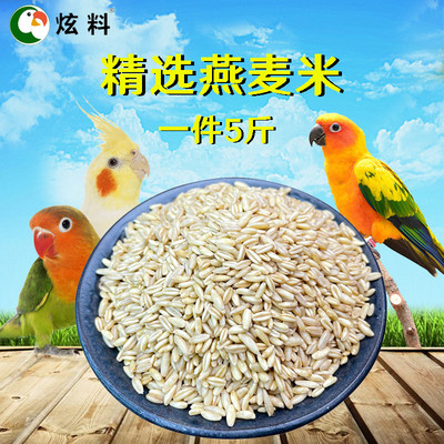 炫料燕麦米鸟食鸟粮玄凤