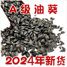 生黑珍珠小瓜子油嗑油葵籽鹦鹉鸟食饲料仓鼠零食鸟粮鸽粮5斤包邮