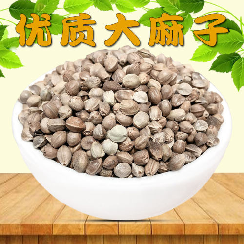 炫料大粒麻子鹦鹉鸟粮牡丹鸟食鸟粮纸壳麻子玄凤小太阳和尚专用粮