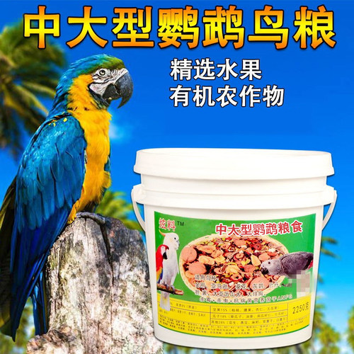中大型鹦鹉有壳粮灰鹦鹉