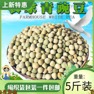 青豌豆鸽粮鸽新优质生干豌豆信鸽饲料观赏鸽肉鸽粮散装5斤包邮
