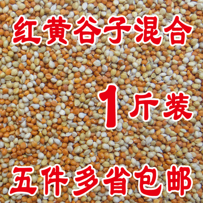 黄谷子红谷子/带壳/中小型鹦鹉