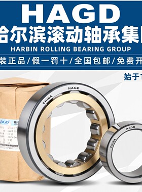 HAGD 哈尔滨轴承 NU NJ NF N RN RNU 306 307 308 M EM 圆柱滚子
