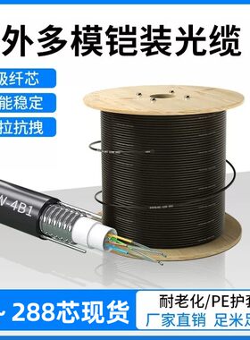 国标OM3室外铠装多模万兆4芯6芯8芯12芯24芯入户监控机房光纤光缆