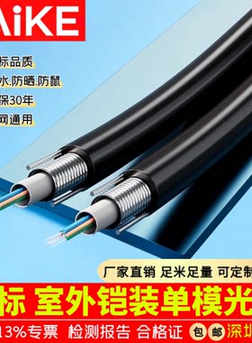 国标室外铠装万兆多模4 6 8 12 24 48 72 96 144 288芯单模光缆线