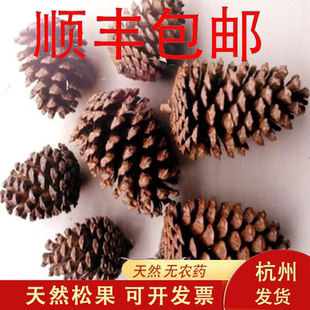 10-20CM大号松果天然松塔圣诞装饰摆件幼儿园手工创意DIY材料干花