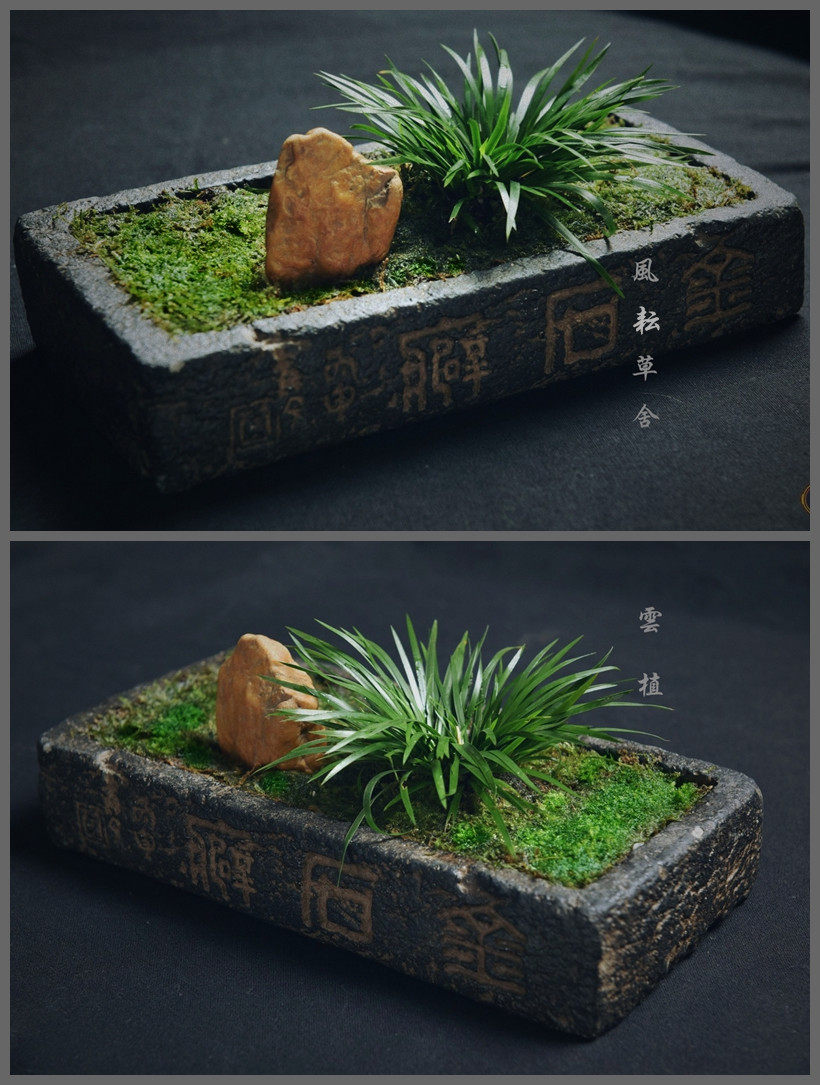 金钱菖蒲粗陶花盆紫砂多肉苔藓盆景陶瓷古典中国风禅意花盆仿汉砖