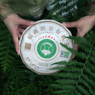 福海2022年福海班章有机茶普洱茶生茶357g/饼
