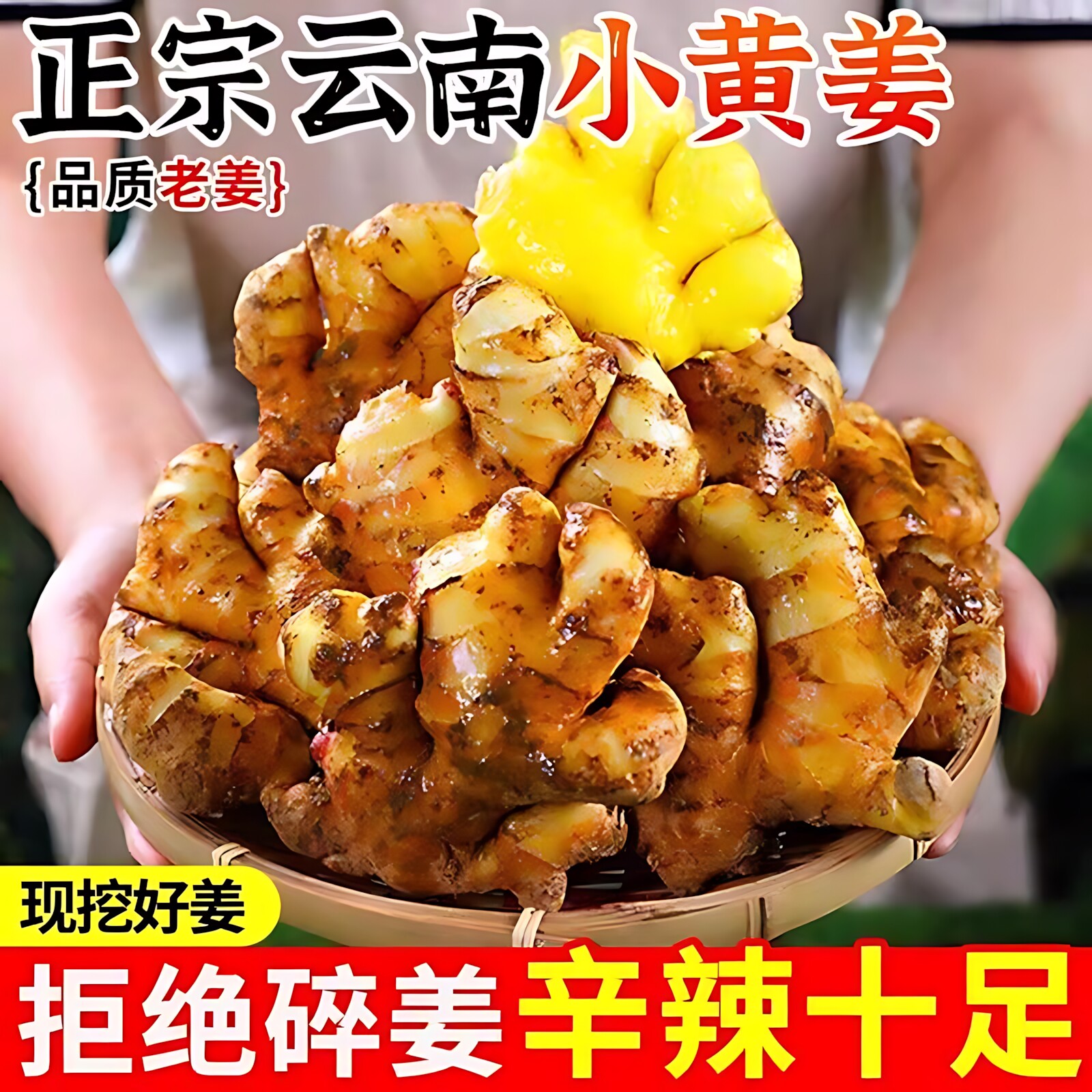 【云南老姜】正宗小黄姜高山种植姜月子姜农家自种老黄姜产地直发