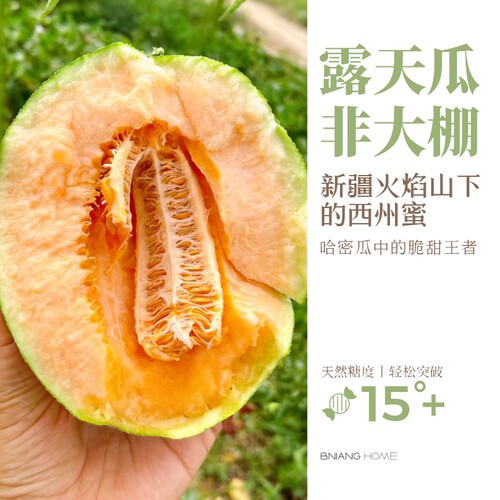 新疆吐鲁番水果哈密瓜夏季第一口清甜