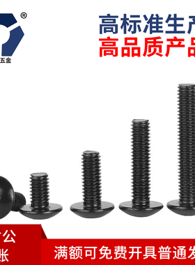 TM4x6→4x60黑色大扁头螺丝304不锈钢户外高盐雾防锈耐腐蚀达克罗