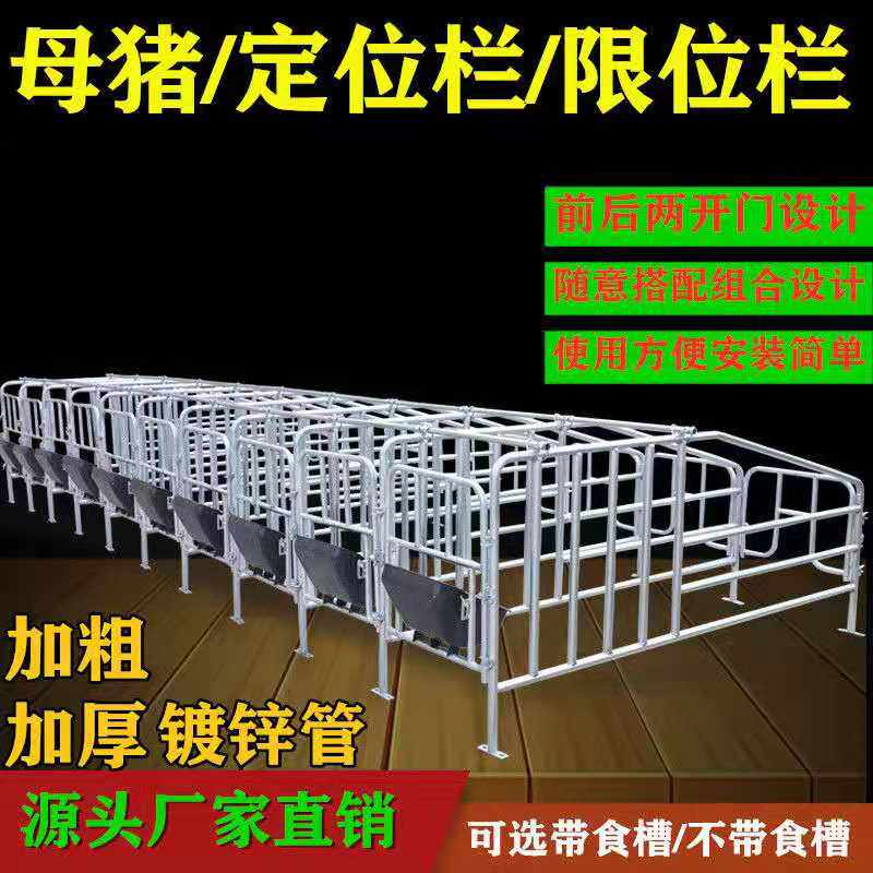母猪定位栏限位栏加厚带漏粪板食槽镀锌管猪笼母猪栏产床养殖猪位