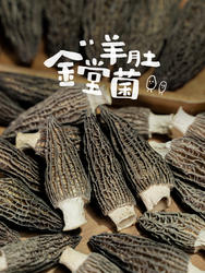 金堂干羊肚菌｜2023头茬精品新货50g菌菇煲汤营养干货食材