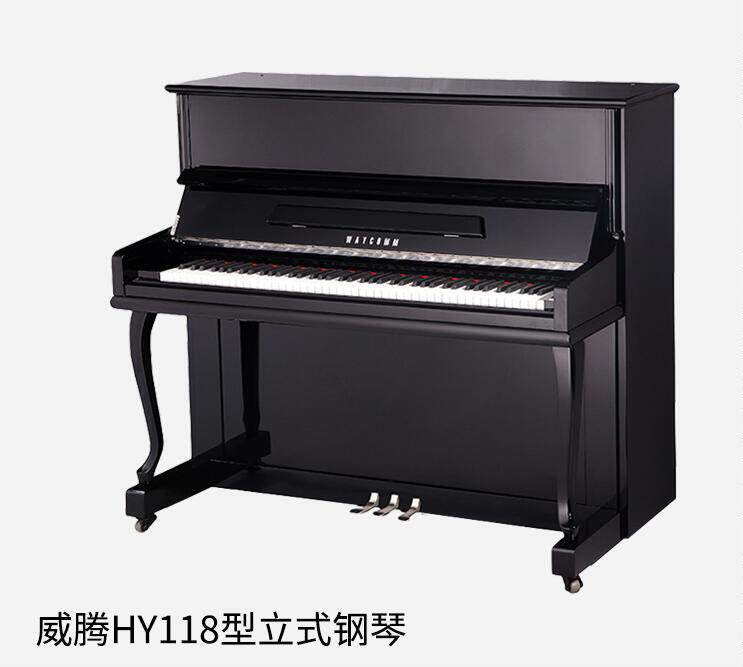 威腾系列118官方旗舰家用立式图片