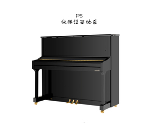 BECHSTEIN P5 贝希斯坦德国高端二手立式钢琴家用专业演奏