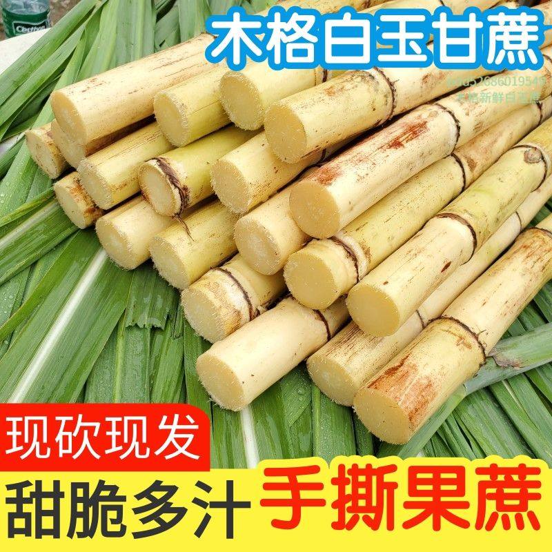 【顺丰包邮】木格白玉甘蔗手撕甘蔗皮当季新鲜水果清甜脆口甘蔗,水产肉类/新鲜蔬果/熟食,其它,淘宝优惠券,粉丝福利购,淘宝优惠卷