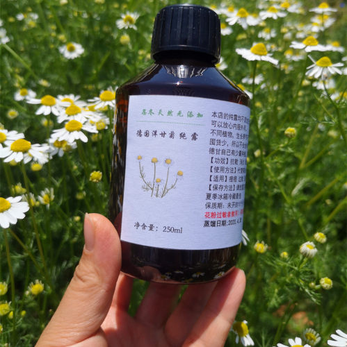 26年新出德国洋甘菊纯露500ml自己种植的鲜花