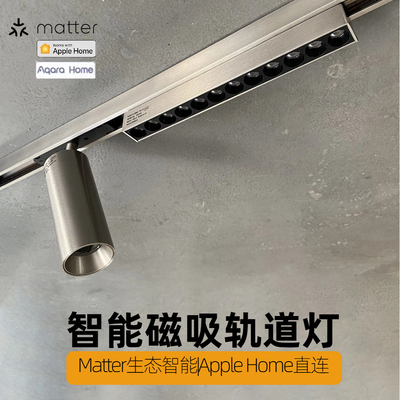 Matter智能不锈钢色包豪斯明装磁吸轨道灯工业风HomeKit接入Aqara
