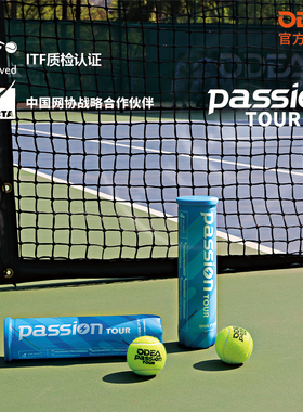 ODEA欧帝尔网球Passion有压比赛球高回弹耐打练习训练4粒罐装网球