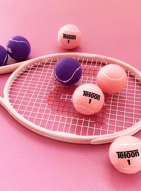 Teloon天龙粉色网球紫色网球2只装罐装散装男女专业训练网球