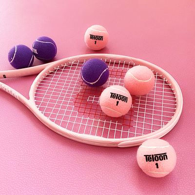 Teloon天龙粉色网球紫色网球2只装罐装散装男女专业训练网球