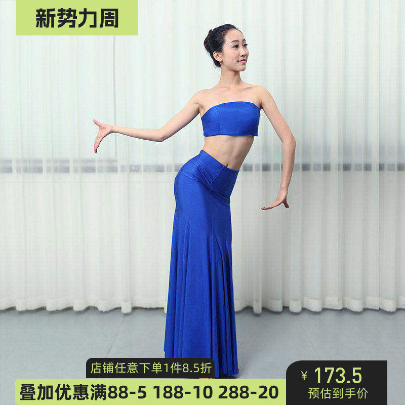 傣族舞蹈演出服装赞哈成人女练功舞裙长裙孔雀舞表演裙鱼尾裙