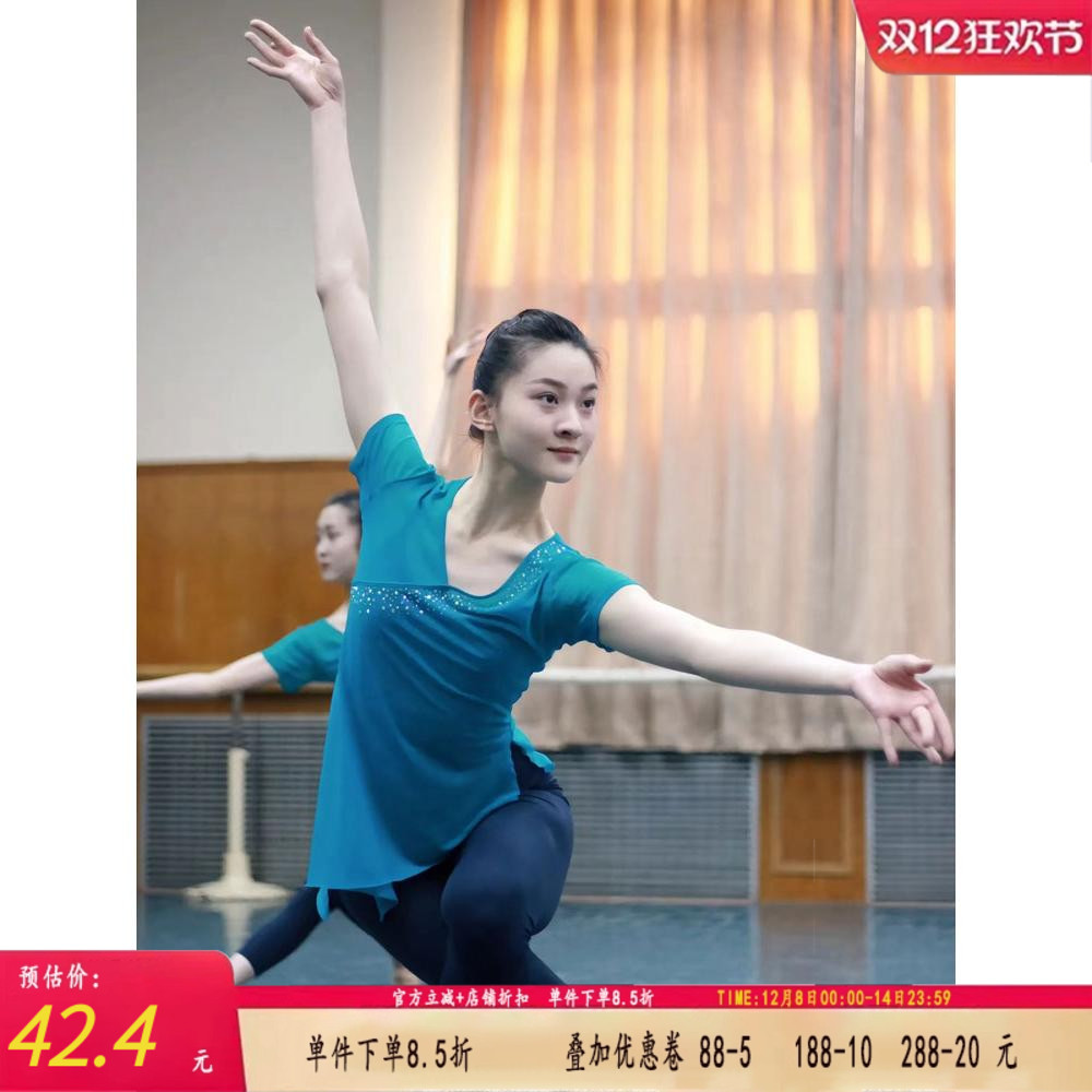 2024新款古典舞蹈服女飘逸身韵舞蹈纱衣练功服中国舞舞衣集训演出