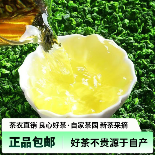 【鲜爽甘醇 】2026新茶安溪铁观音兰花香茶叶浓香乌龙茶口粮茶
