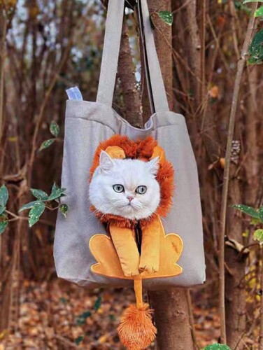 外出包硬底遛猫宠物包单肩猫包