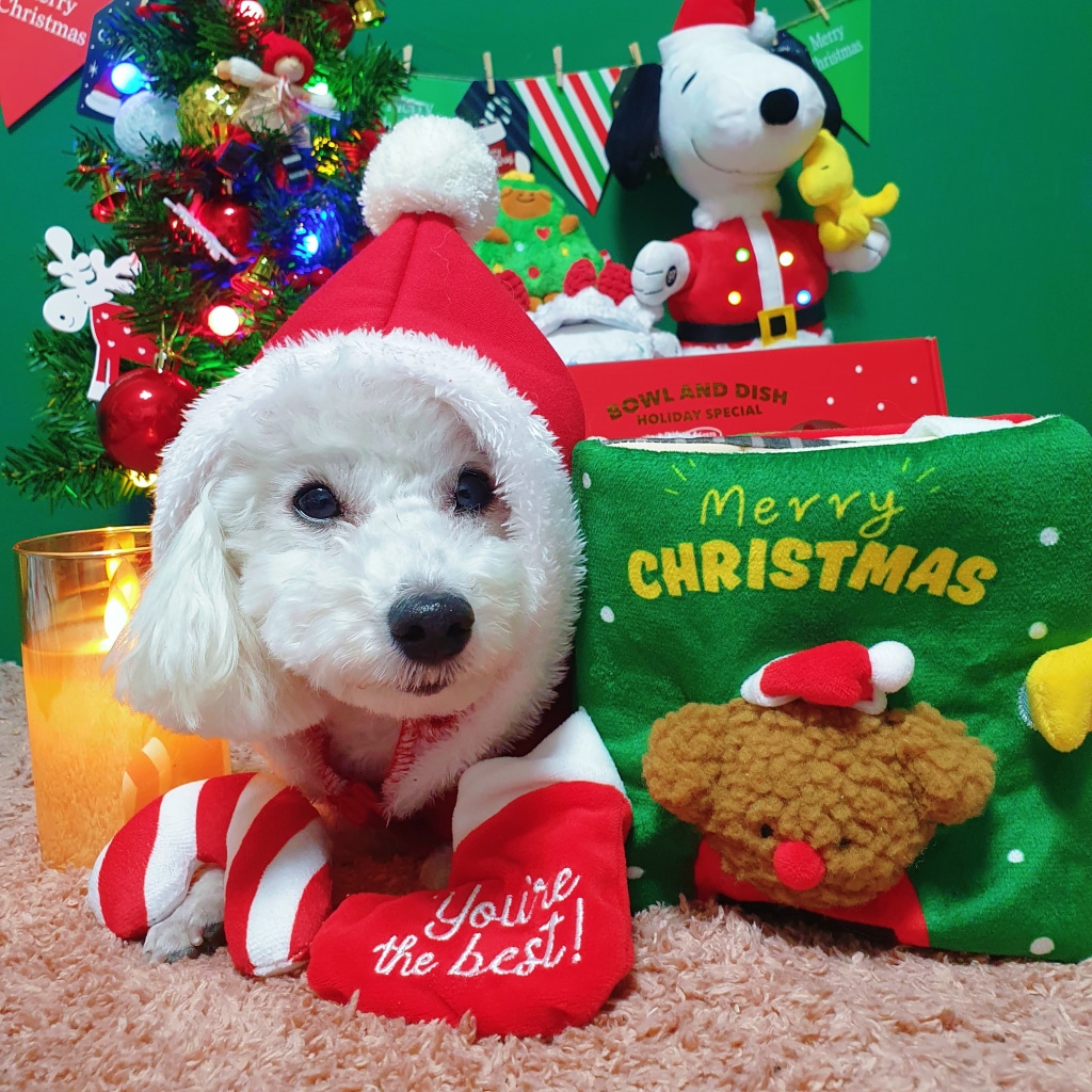 藏食玩具biteme互动嗅闻韩国圣诞