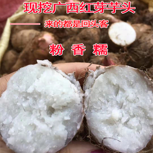 广西正宗红芽芋头现挖小芋头新鲜芋仔农家自种香芋粉糯香甜槟榔芋