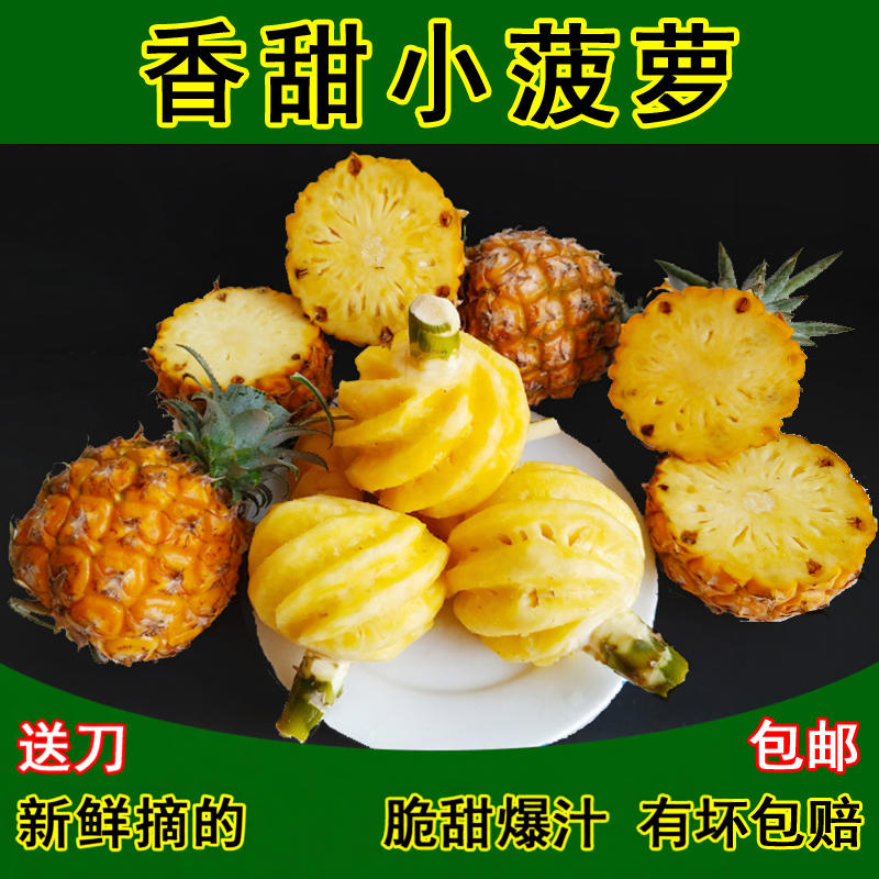 广西新摘树上熟香水菠萝当季新鲜孕妇即食脆甜水果非泰国小菠萝
