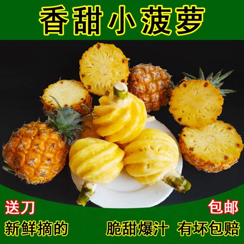 广西新摘树上熟香水小菠萝酸甜
