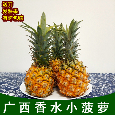 广西香水小菠萝当季新鲜菠萝