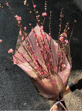 桃花枝鲜切真花新鲜瓶插花水培带花苞珍珠李鲜切遇水开花桌面装饰