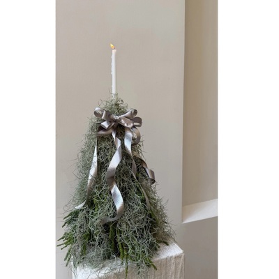 进口新鲜诺贝松圣诞树真树小型家用桌面迷你摆件圣诞节装饰礼物