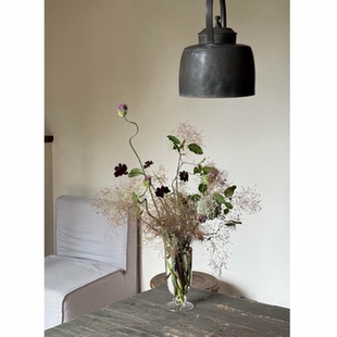 雾中情人时令木本鲜切花黄栌鲜花家用插花装饰瓶插花上海同城速递