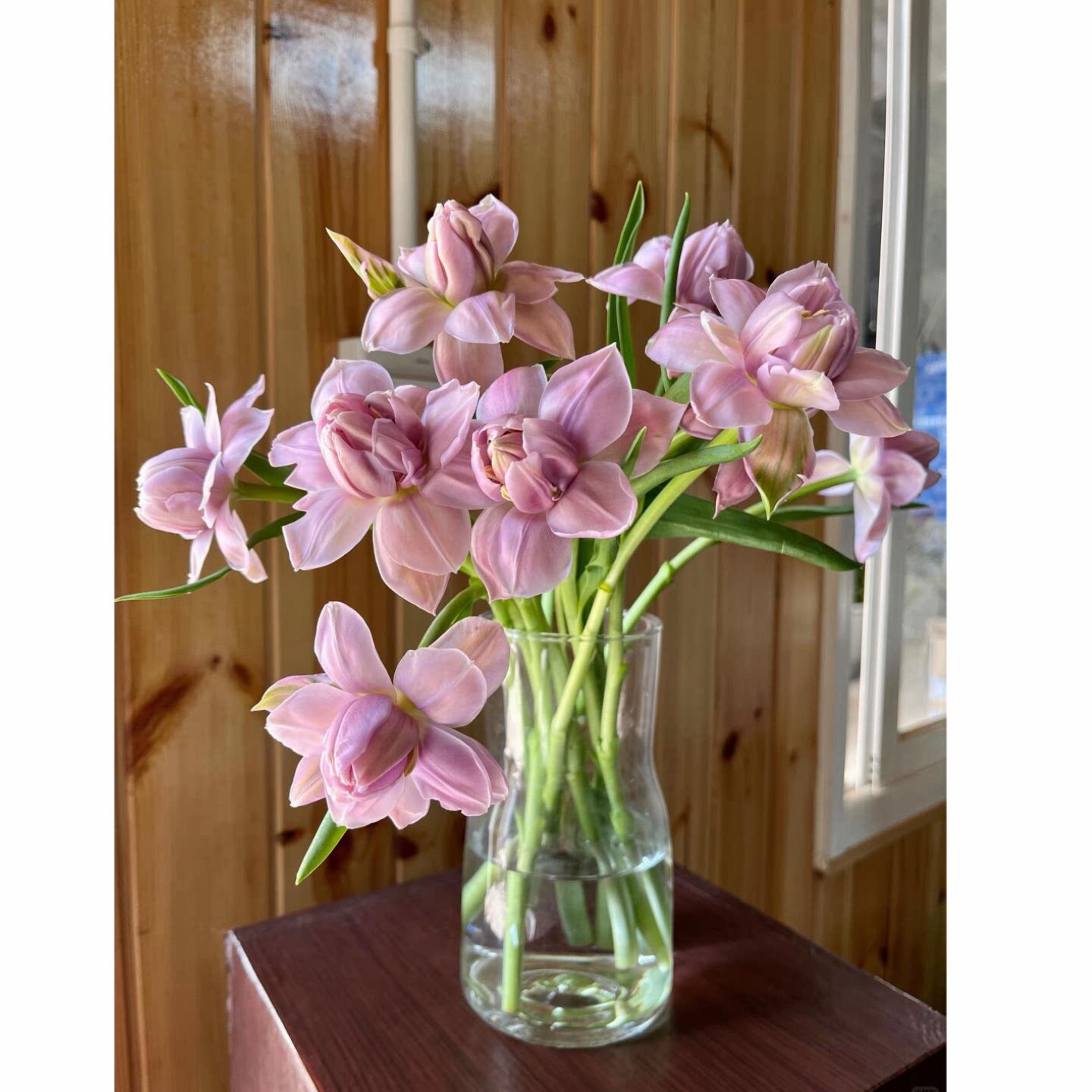 郁金香鲜花郁金香花束家用鲜花插花黄色花束真花桌面装饰摆件礼物