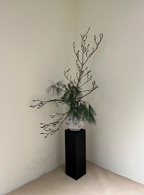 玉兰枝干花插花中日式天然干树枝枯枝家居民宿服装店装饰瓶插摆件