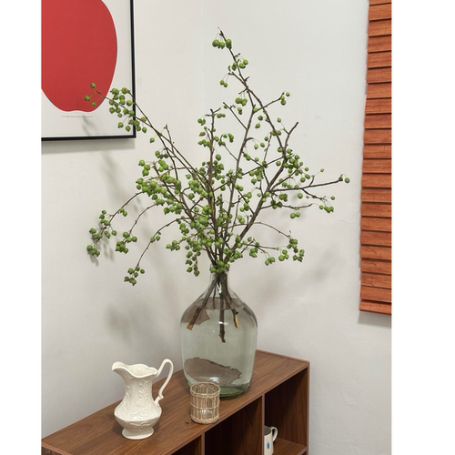 绿色小苹果鲜切枝鲜花海棠果插花水培绿植棠梨果插瓶花束