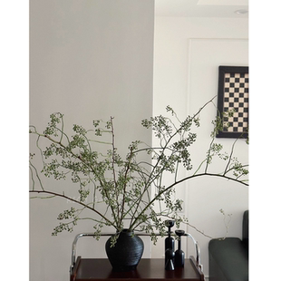 绿色山归来鲜切枝条蔷薇果水培植物插花水养可干花高级感侘寂风