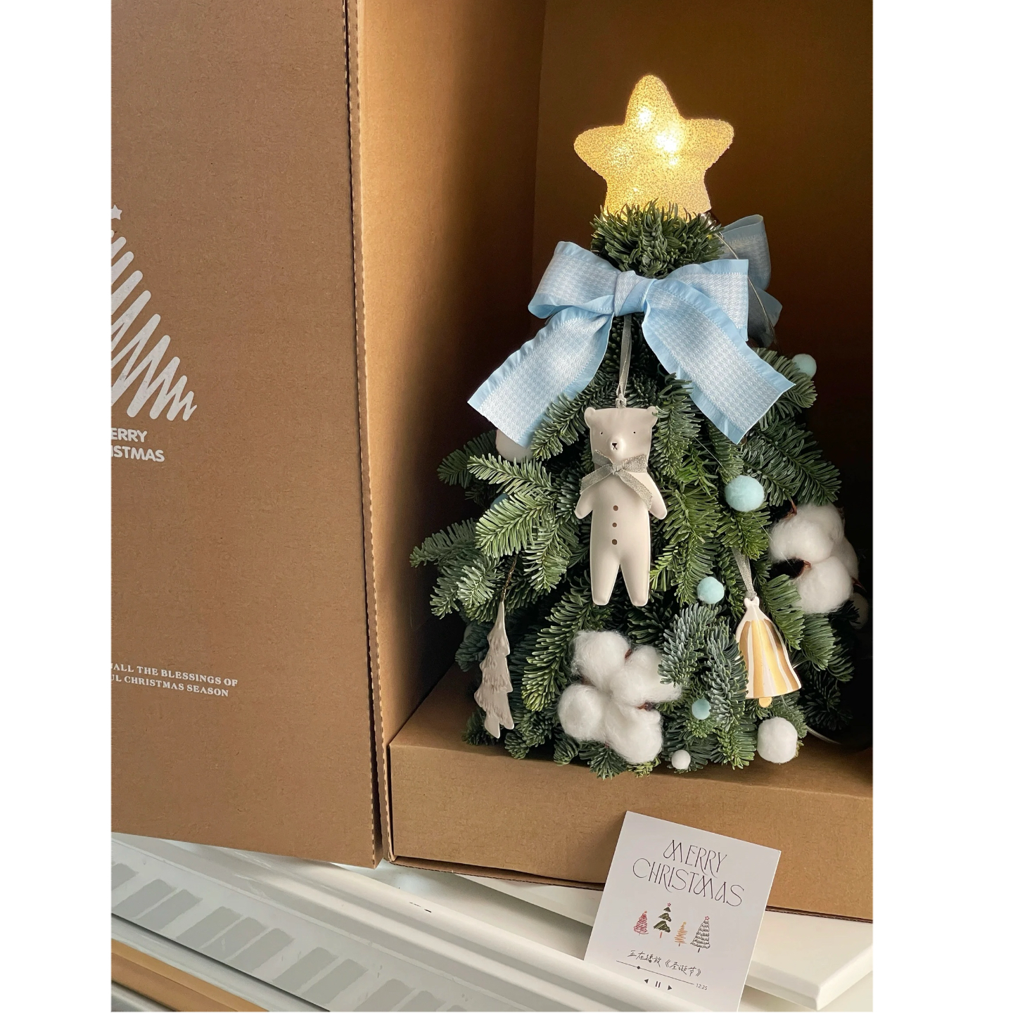 进口新鲜诺贝松圣诞树鲜活真松枝树平安夜圣诞节礼物家居装饰摆件