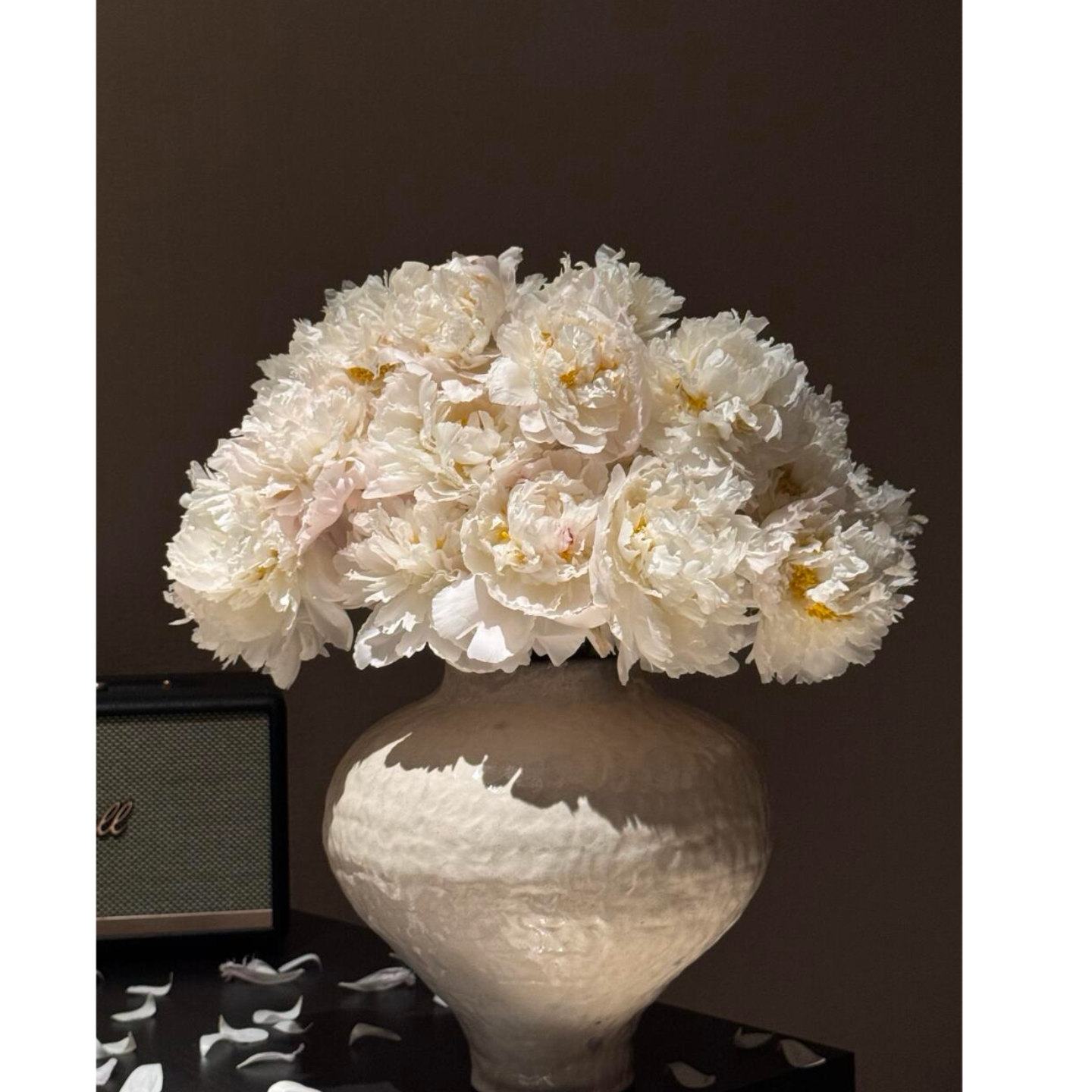 白色重瓣芍药花鲜花花束水养奶油碗鲜花瓶插花家居软装桌面装饰