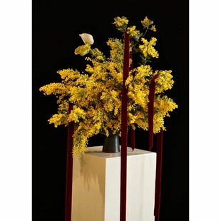 金合欢鲜花家用插花水培黄色合欢花环鲜切花枝条圣诞花可做干花