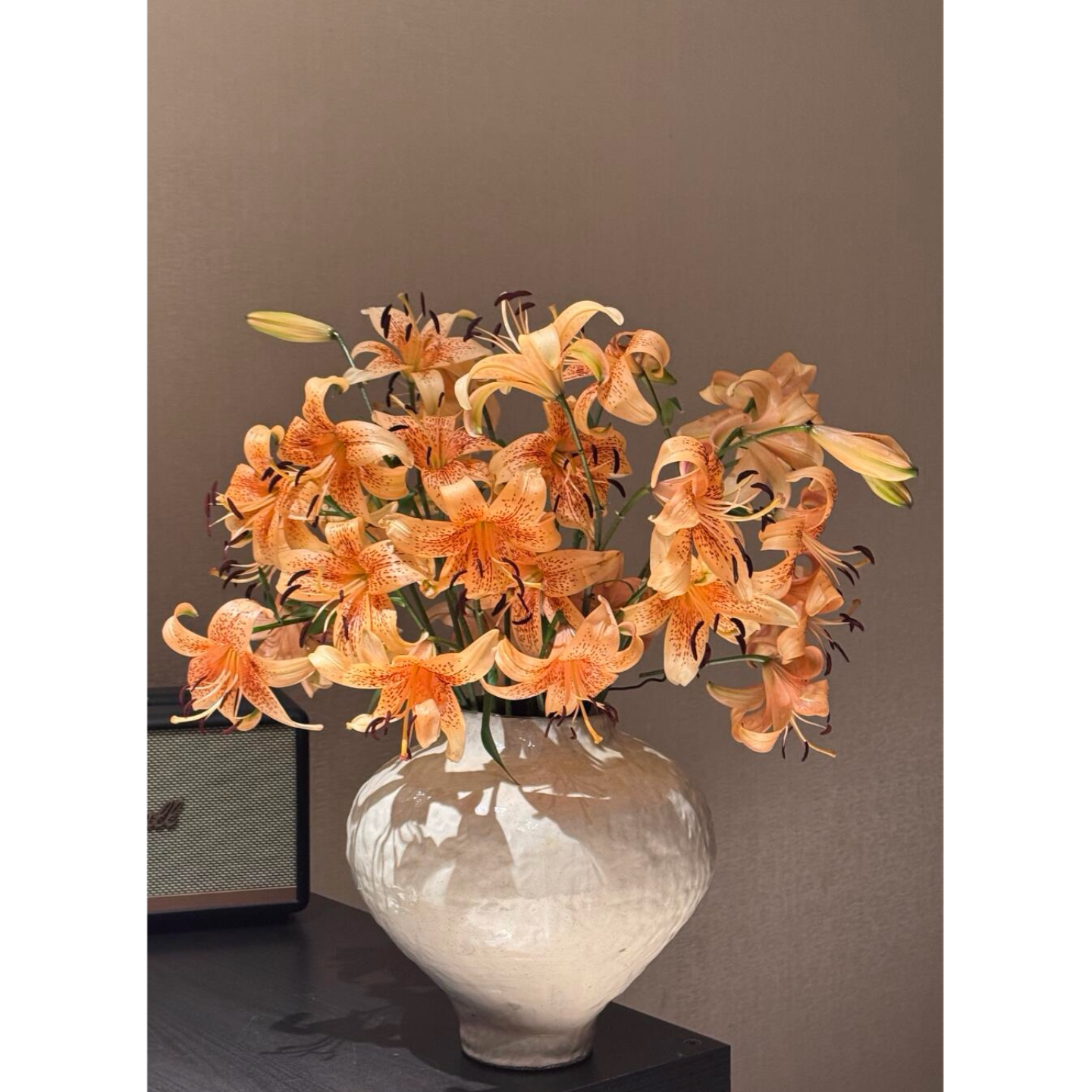 小爱同学皇室千金心星语心愿东方月亮百合树亚百合花新鲜切花鲜花图片