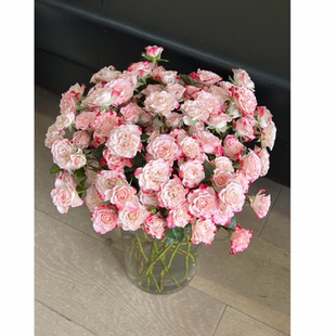 折射泡泡多头玫瑰花束家用鲜花插花期长送女友生日情人节礼物