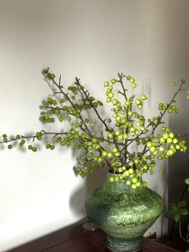绿色海棠果小苹果鲜切枝鲜果水培植物家用插花鲜花软装展厅摆件