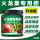 火龙果专用肥料庭院盆栽果树花卉专用复合肥有机肥料肥料四季 专用
